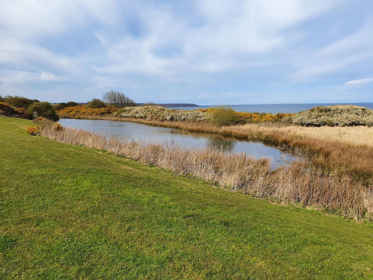 Puffin Cottage Filey Esterno foto